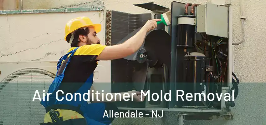  Air Conditioner Mold Removal Allendale - NJ