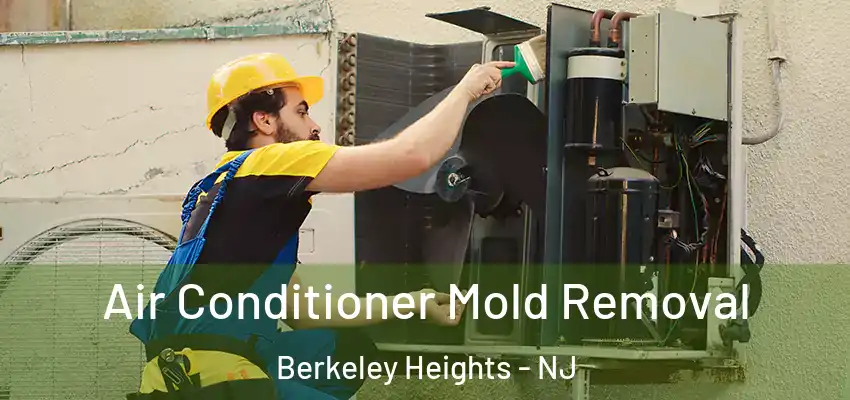  Air Conditioner Mold Removal Berkeley Heights - NJ
