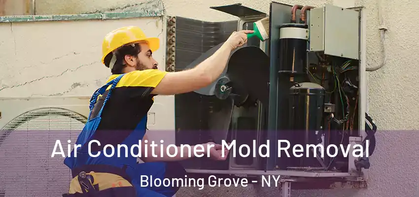  Air Conditioner Mold Removal Blooming Grove - NY