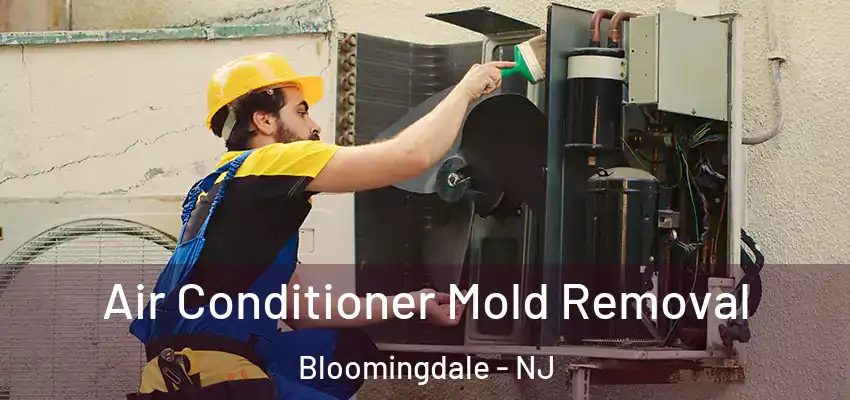  Air Conditioner Mold Removal Bloomingdale - NJ
