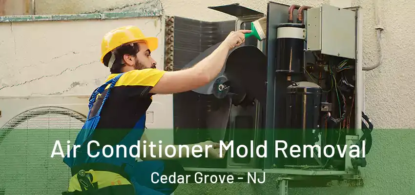 Air Conditioner Mold Removal Cedar Grove - NJ