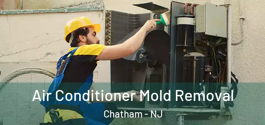  Air Conditioner Mold Removal Chatham - NJ
