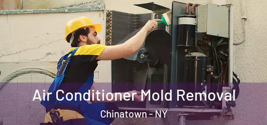  Air Conditioner Mold Removal Chinatown - NY