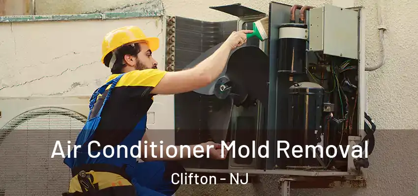 Air Conditioner Mold Removal Clifton - NJ