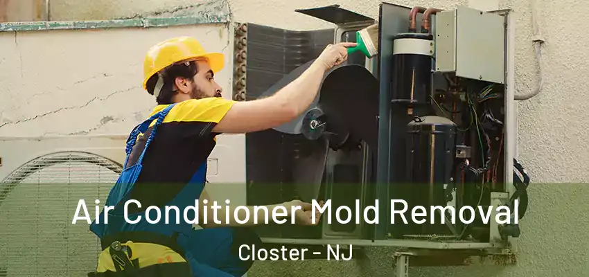  Air Conditioner Mold Removal Closter - NJ