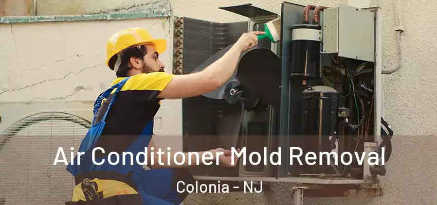 Air Conditioner Mold Removal Colonia - NJ