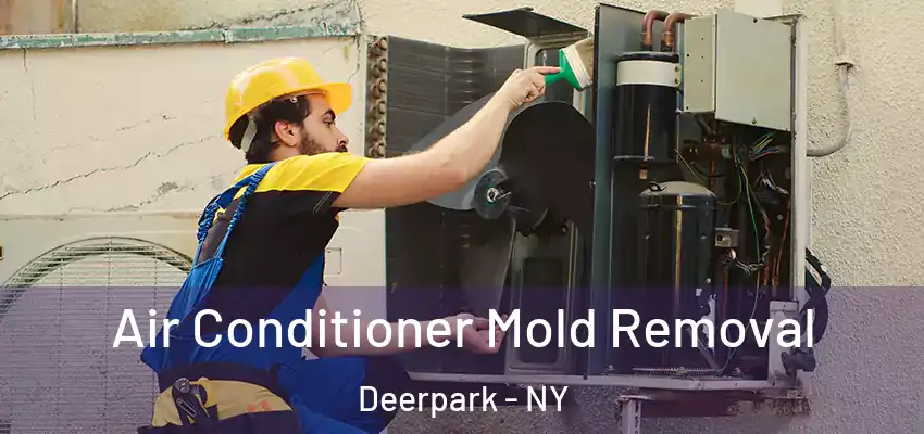  Air Conditioner Mold Removal Deerpark - NY