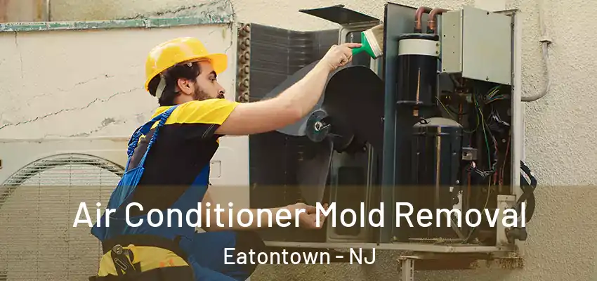  Air Conditioner Mold Removal Eatontown - NJ