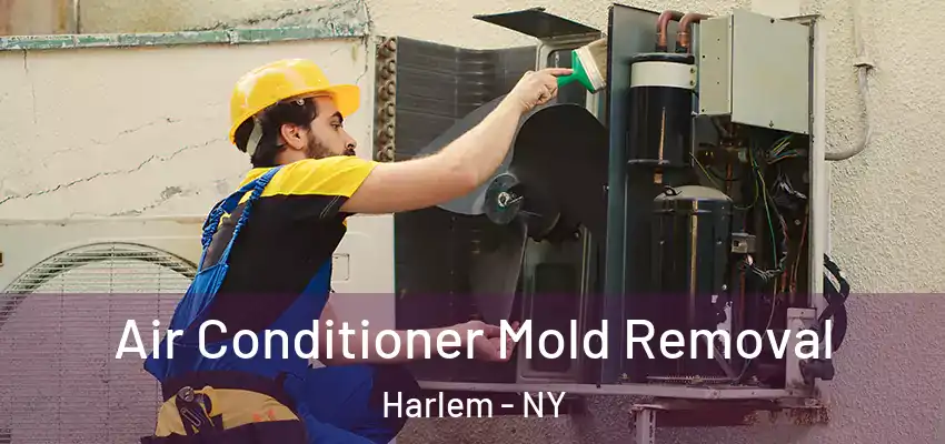  Air Conditioner Mold Removal Harlem - NY
