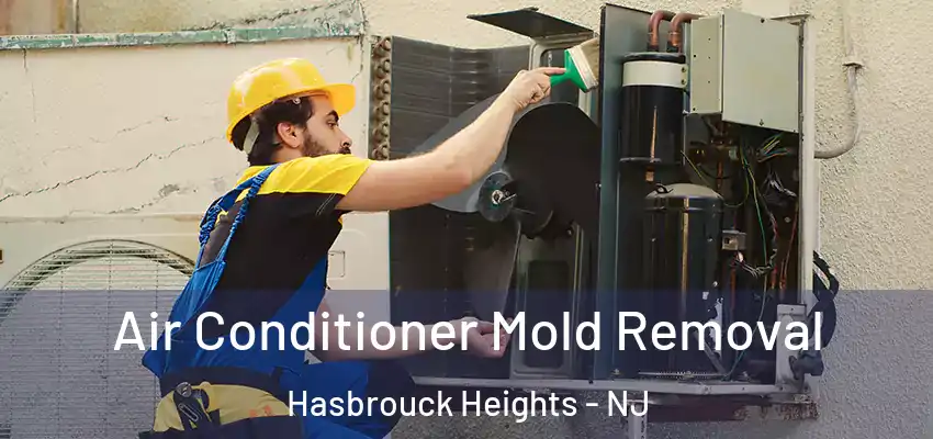 Air Conditioner Mold Removal Hasbrouck Heights - NJ