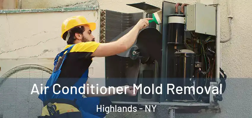 Air Conditioner Mold Removal Highlands - NY