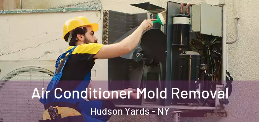 Air Conditioner Mold Removal Hudson Yards - NY