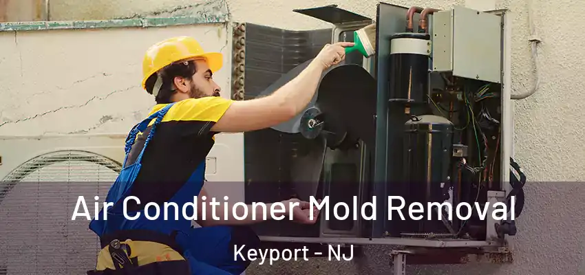  Air Conditioner Mold Removal Keyport - NJ