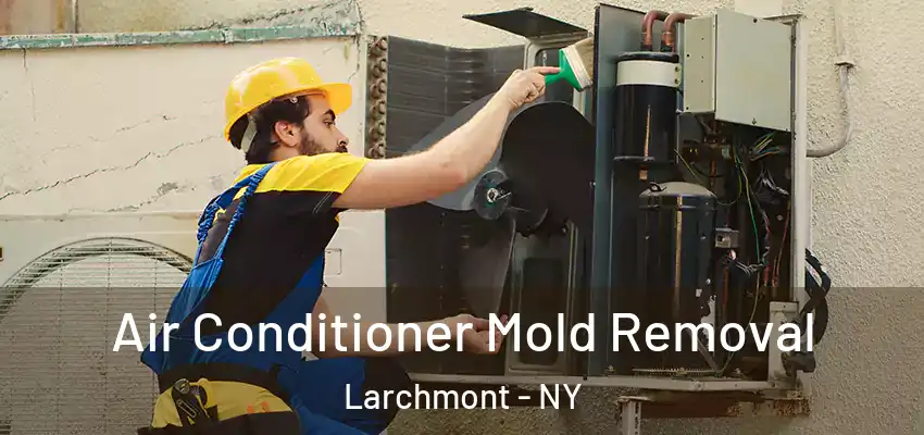 Air Conditioner Mold Removal Larchmont - NY