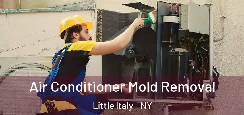 Air Conditioner Mold Removal Little Italy - NY