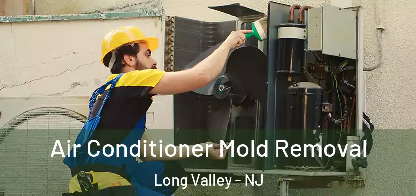 Air Conditioner Mold Removal Long Valley - NJ