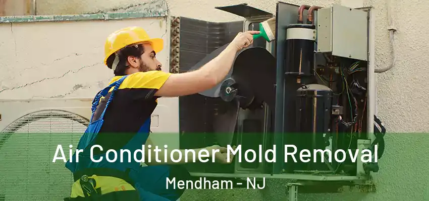  Air Conditioner Mold Removal Mendham - NJ
