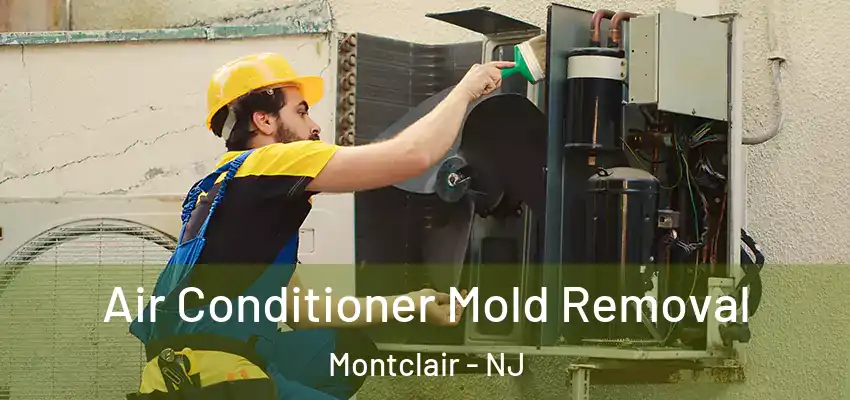  Air Conditioner Mold Removal Montclair - NJ