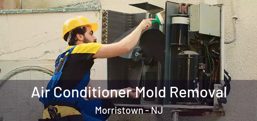Air Conditioner Mold Removal Morristown - NJ