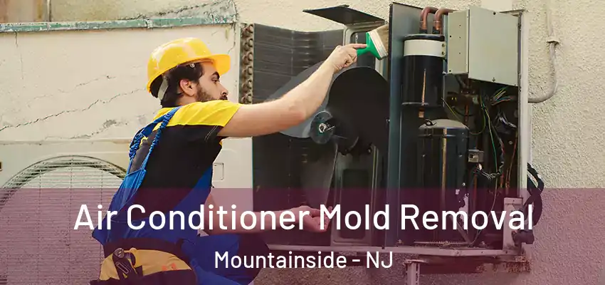 Air Conditioner Mold Removal Mountainside - NJ
