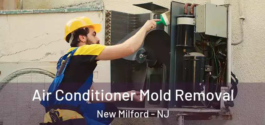 Air Conditioner Mold Removal New Milford - NJ