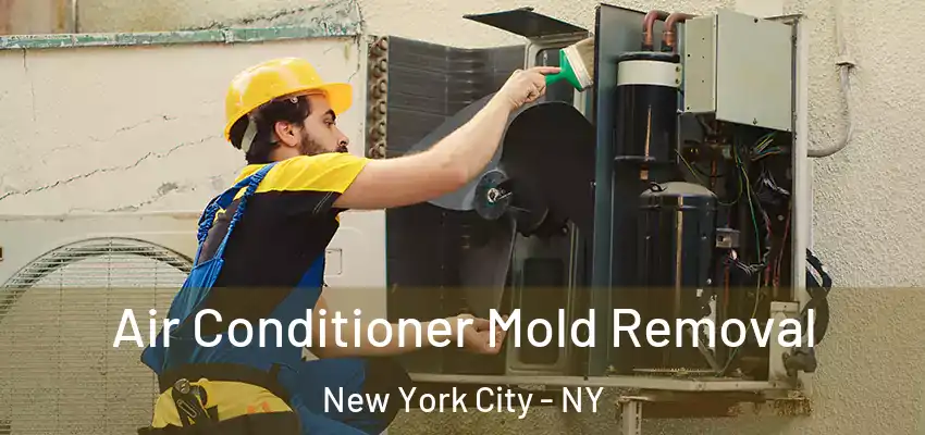 Air Conditioner Mold Removal New York City - NY