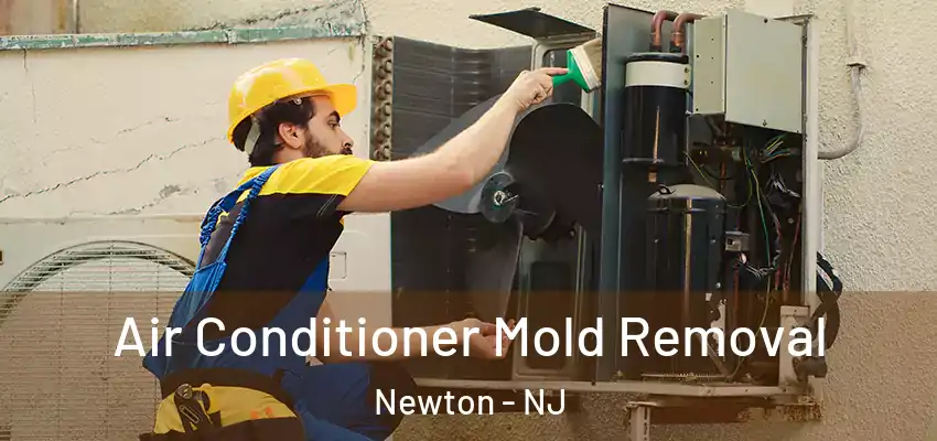 Air Conditioner Mold Removal Newton - NJ
