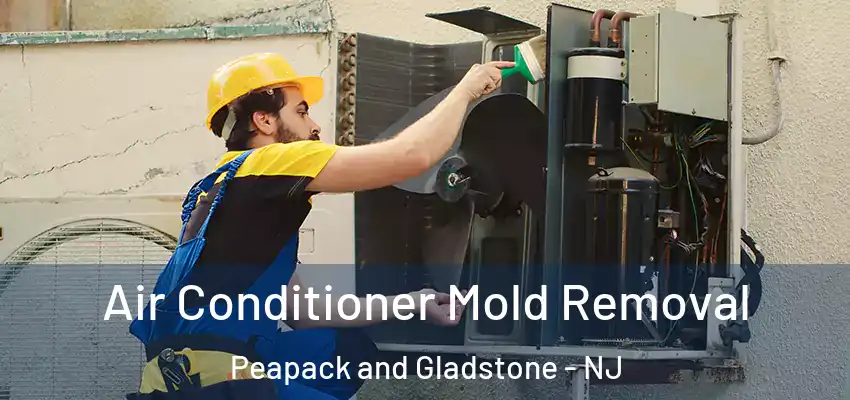 Air Conditioner Mold Removal Peapack and Gladstone - NJ