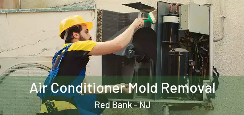 Air Conditioner Mold Removal Red Bank - NJ
