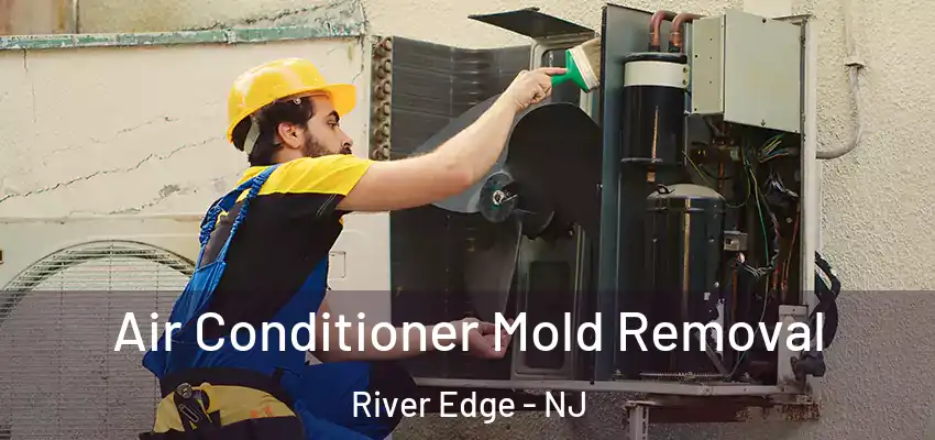 Air Conditioner Mold Removal River Edge - NJ
