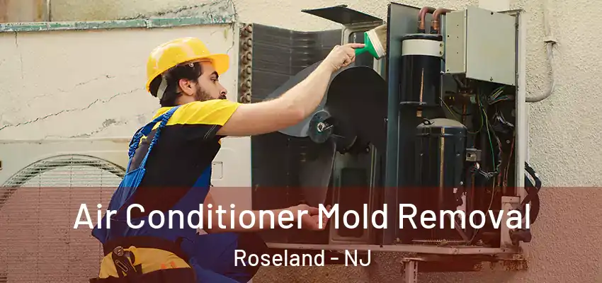 Air Conditioner Mold Removal Roseland - NJ