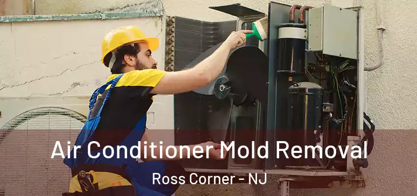 Air Conditioner Mold Removal Ross Corner - NJ