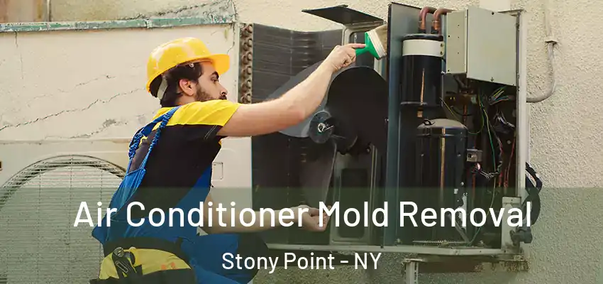  Air Conditioner Mold Removal Stony Point - NY