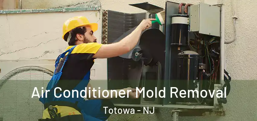  Air Conditioner Mold Removal Totowa - NJ