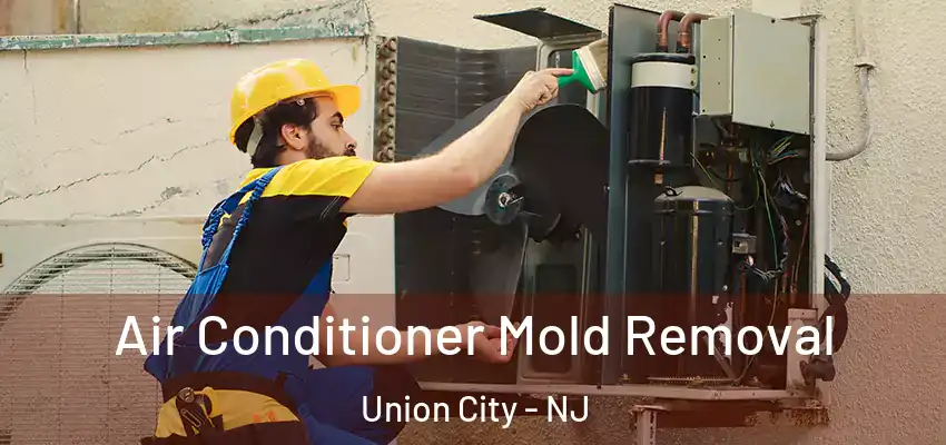  Air Conditioner Mold Removal Union City - NJ