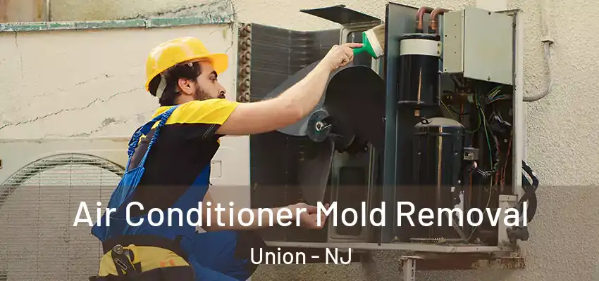  Air Conditioner Mold Removal Union - NJ