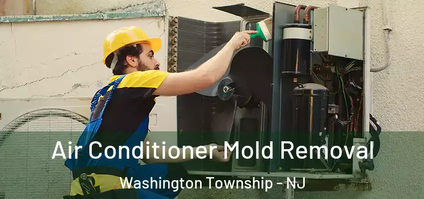  Air Conditioner Mold Removal Washington Township - NJ