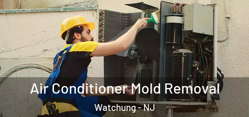 Air Conditioner Mold Removal Watchung - NJ