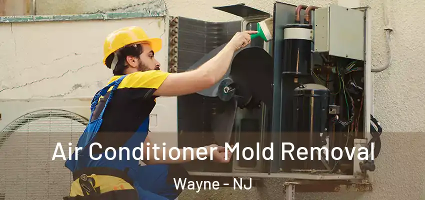  Air Conditioner Mold Removal Wayne - NJ