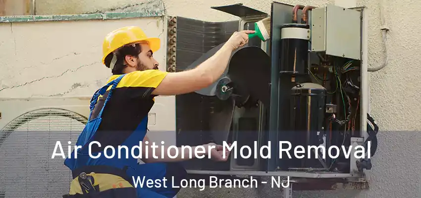 Air Conditioner Mold Removal West Long Branch - NJ