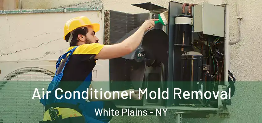  Air Conditioner Mold Removal White Plains - NY