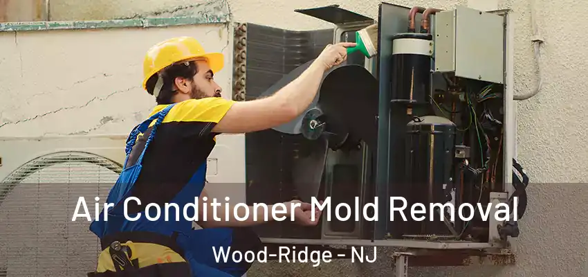 Air Conditioner Mold Removal Wood-Ridge - NJ