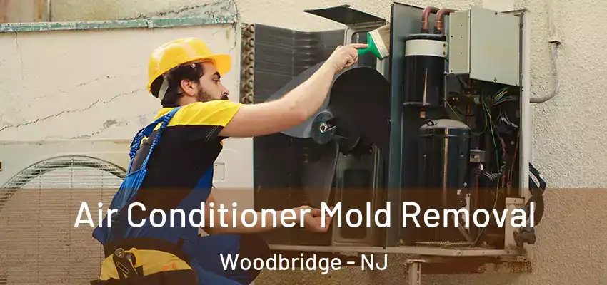  Air Conditioner Mold Removal Woodbridge - NJ