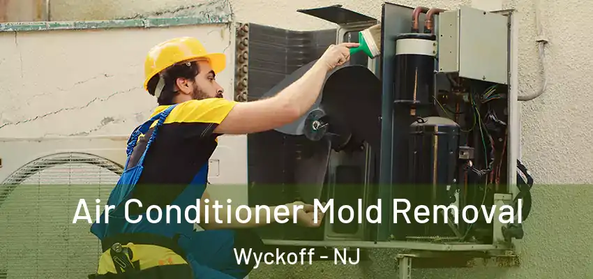 Air Conditioner Mold Removal Wyckoff - NJ