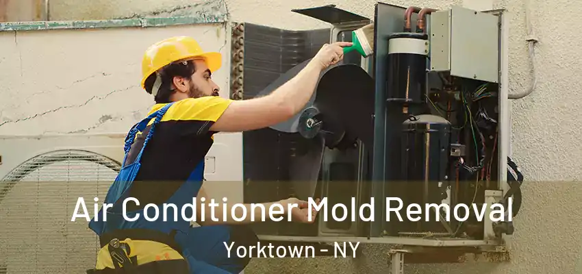 Air Conditioner Mold Removal Yorktown - NY
