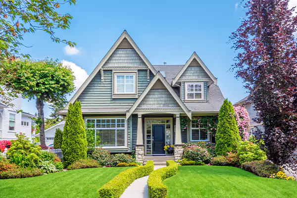 Black Mold Clean Up in Dover, NJ