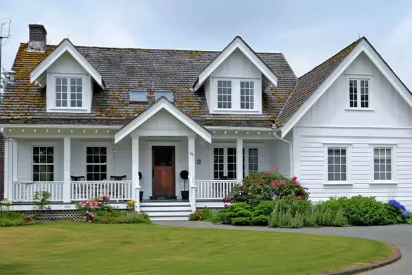 Mold Removal Services in Clark, NJ