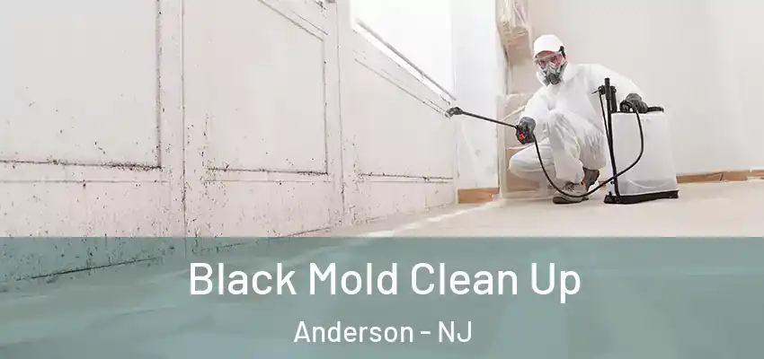 Black Mold Clean Up Anderson - NJ