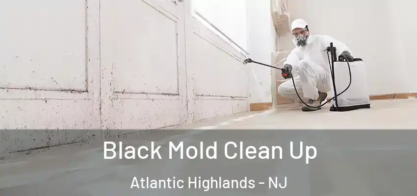 Black Mold Clean Up Atlantic Highlands - NJ