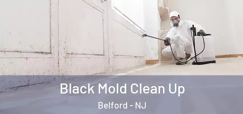 Black Mold Clean Up Belford - NJ
